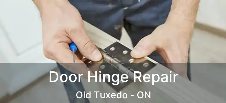  Door Hinge Repair Old Tuxedo - ON