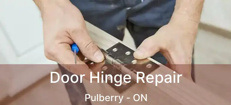  Door Hinge Repair Pulberry - ON