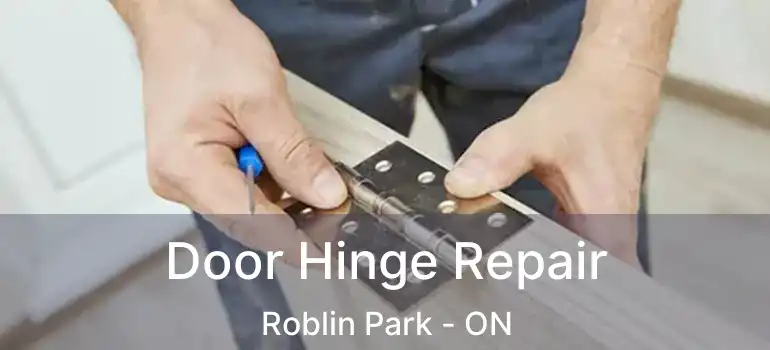  Door Hinge Repair Roblin Park - ON