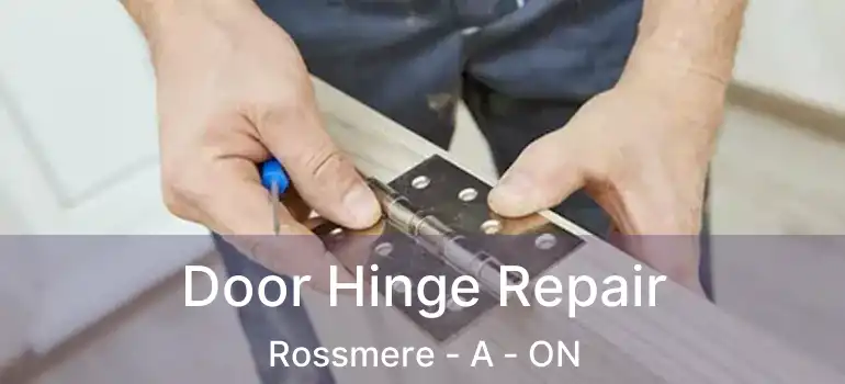  Door Hinge Repair Rossmere - A - ON