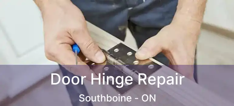  Door Hinge Repair Southboine - ON