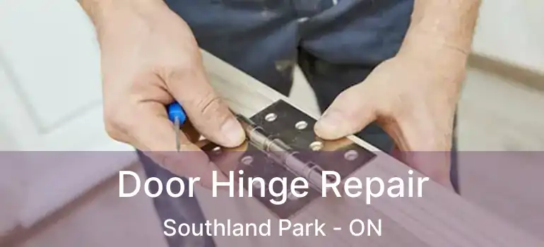  Door Hinge Repair Southland Park - ON