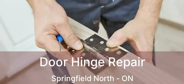 Door Hinge Repair Springfield North - ON