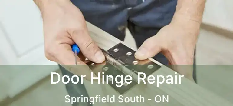  Door Hinge Repair Springfield South - ON