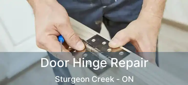  Door Hinge Repair Sturgeon Creek - ON