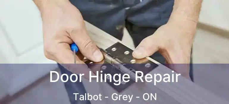  Door Hinge Repair Talbot - Grey - ON