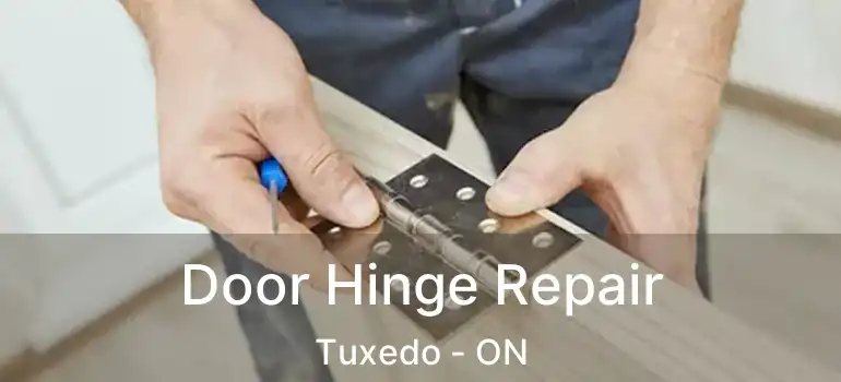  Door Hinge Repair Tuxedo - ON