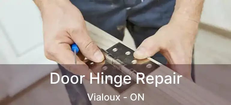  Door Hinge Repair Vialoux - ON