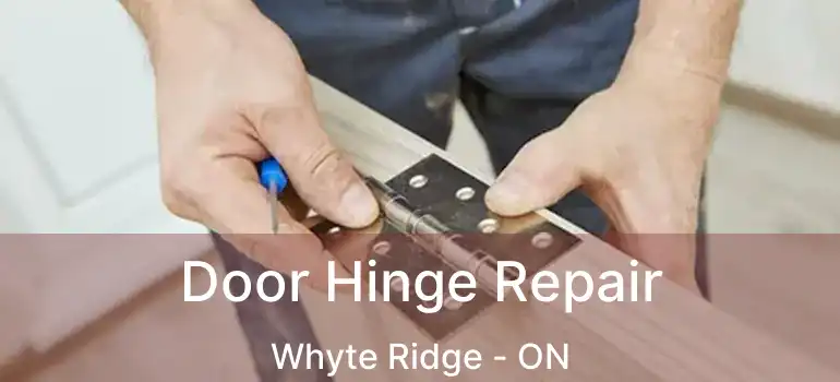  Door Hinge Repair Whyte Ridge - ON