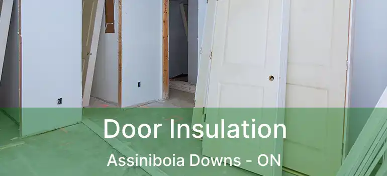  Door Insulation Assiniboia Downs - ON