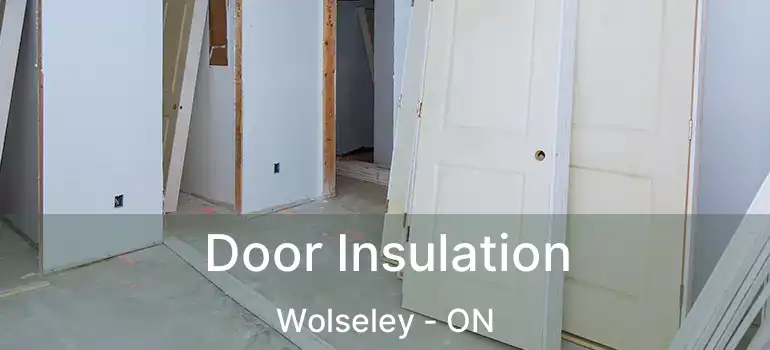  Door Insulation Wolseley - ON