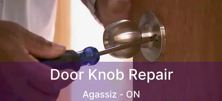  Door Knob Repair Agassiz - ON