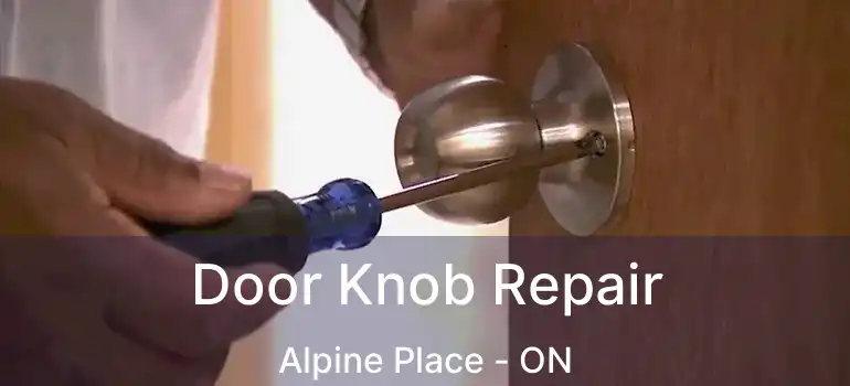  Door Knob Repair Alpine Place - ON