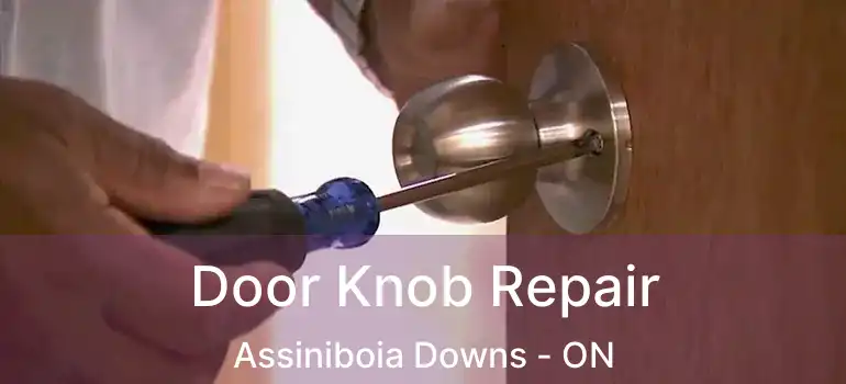  Door Knob Repair Assiniboia Downs - ON