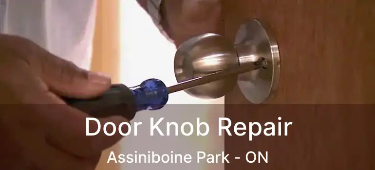  Door Knob Repair Assiniboine Park - ON