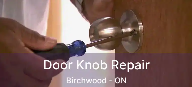  Door Knob Repair Birchwood - ON