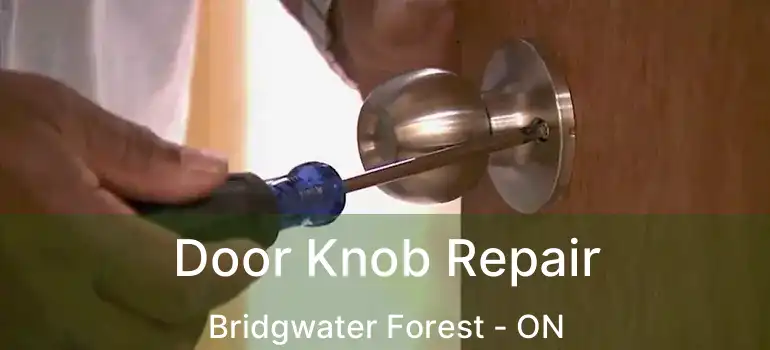  Door Knob Repair Bridgwater Forest - ON