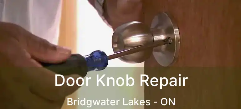  Door Knob Repair Bridgwater Lakes - ON