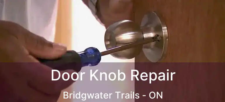  Door Knob Repair Bridgwater Trails - ON