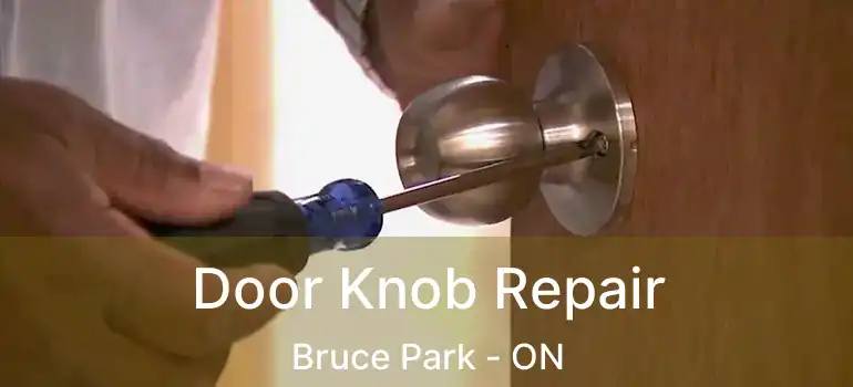  Door Knob Repair Bruce Park - ON