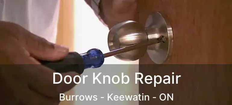  Door Knob Repair Burrows - Keewatin - ON