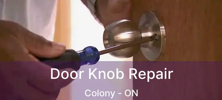  Door Knob Repair Colony - ON