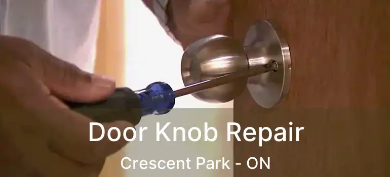  Door Knob Repair Crescent Park - ON