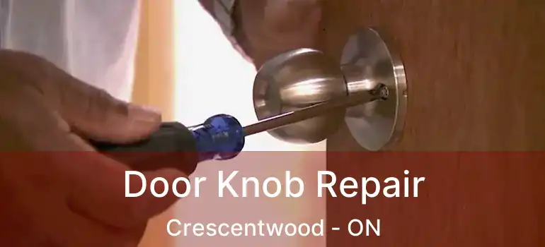 Door Knob Repair Crescentwood - ON