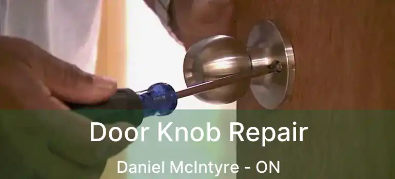  Door Knob Repair Daniel McIntyre - ON