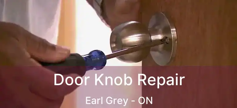  Door Knob Repair Earl Grey - ON