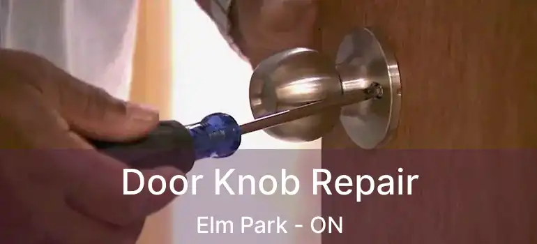  Door Knob Repair Elm Park - ON