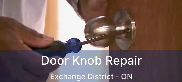  Door Knob Repair Exchange District - ON