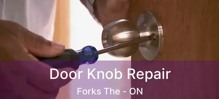  Door Knob Repair Forks The - ON