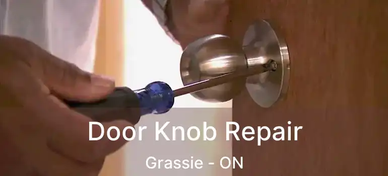  Door Knob Repair Grassie - ON