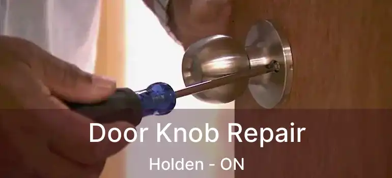  Door Knob Repair Holden - ON
