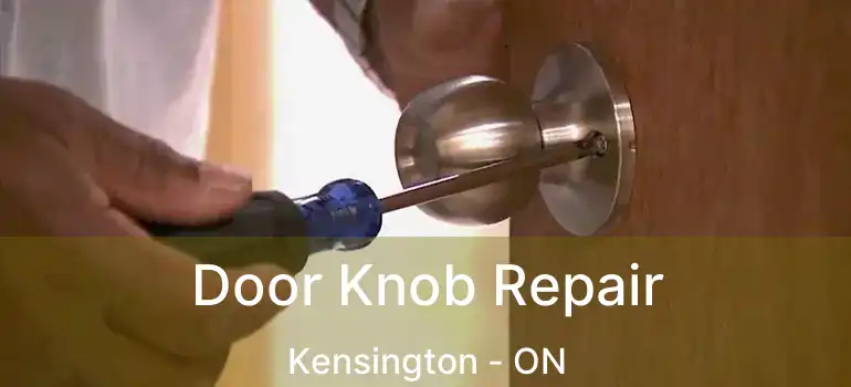  Door Knob Repair Kensington - ON