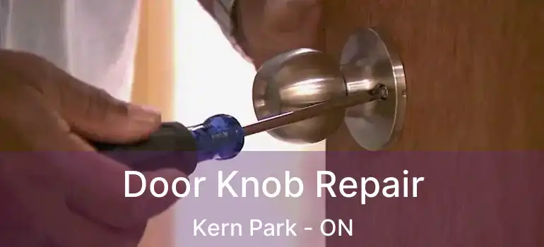  Door Knob Repair Kern Park - ON