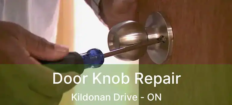  Door Knob Repair Kildonan Drive - ON