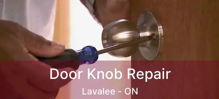  Door Knob Repair Lavalee - ON