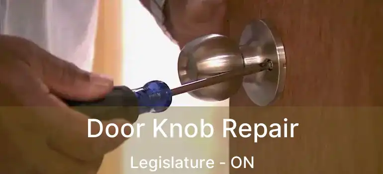  Door Knob Repair Legislature - ON