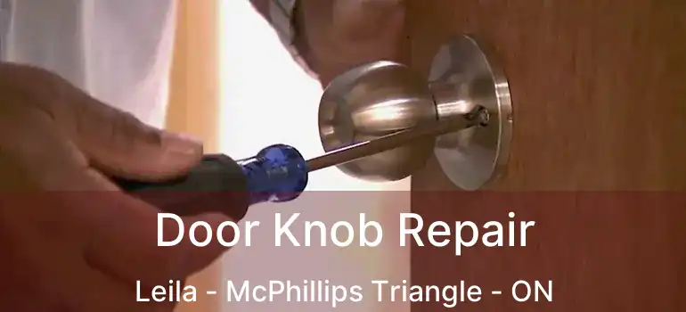  Door Knob Repair Leila - McPhillips Triangle - ON