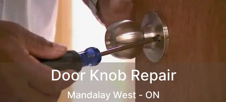  Door Knob Repair Mandalay West - ON