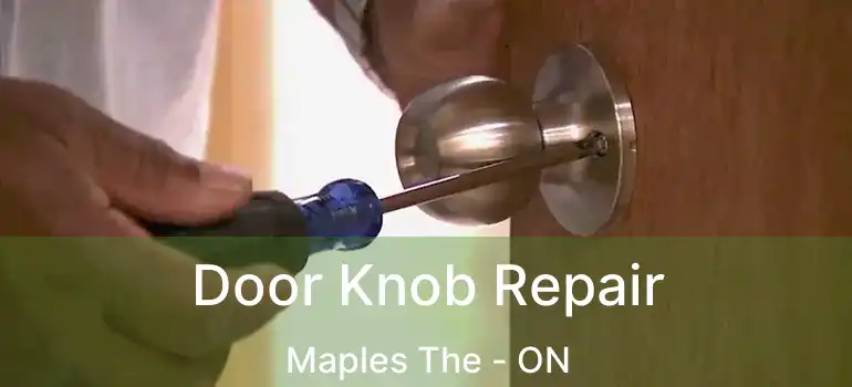  Door Knob Repair Maples The - ON