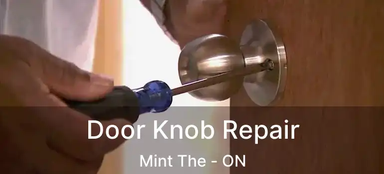  Door Knob Repair Mint The - ON