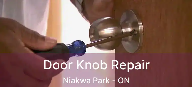  Door Knob Repair Niakwa Park - ON