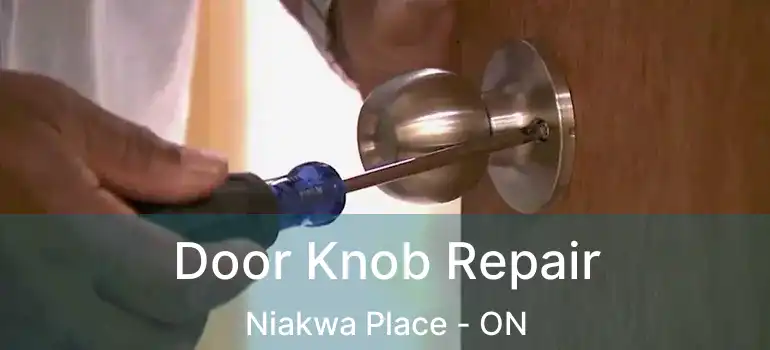  Door Knob Repair Niakwa Place - ON