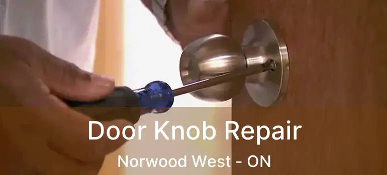  Door Knob Repair Norwood West - ON