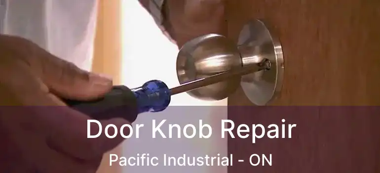  Door Knob Repair Pacific Industrial - ON