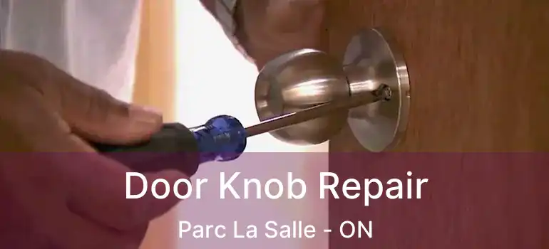  Door Knob Repair Parc La Salle - ON