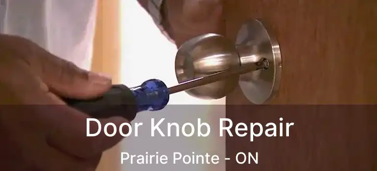  Door Knob Repair Prairie Pointe - ON